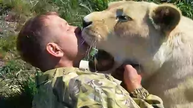‘Lion whisperer’ left fighting for his life after vicious attack by lion he previously fought to save